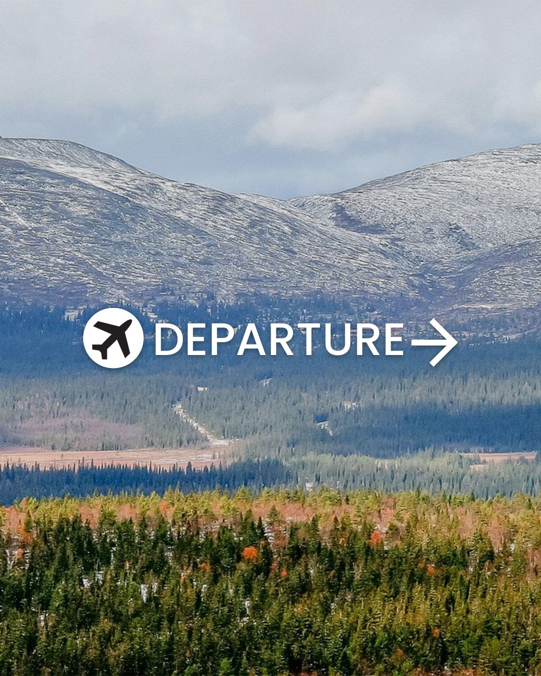 Fly out